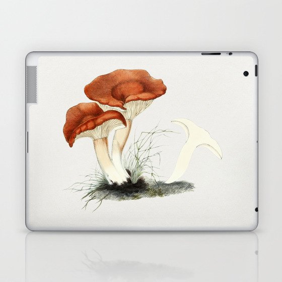 Rufous Milkcap Mushroom Laptop & iPad Skin
