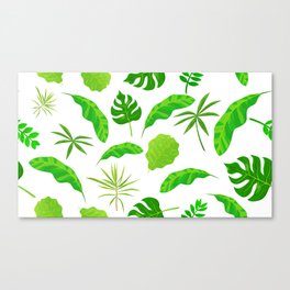 house plant Canvas Print