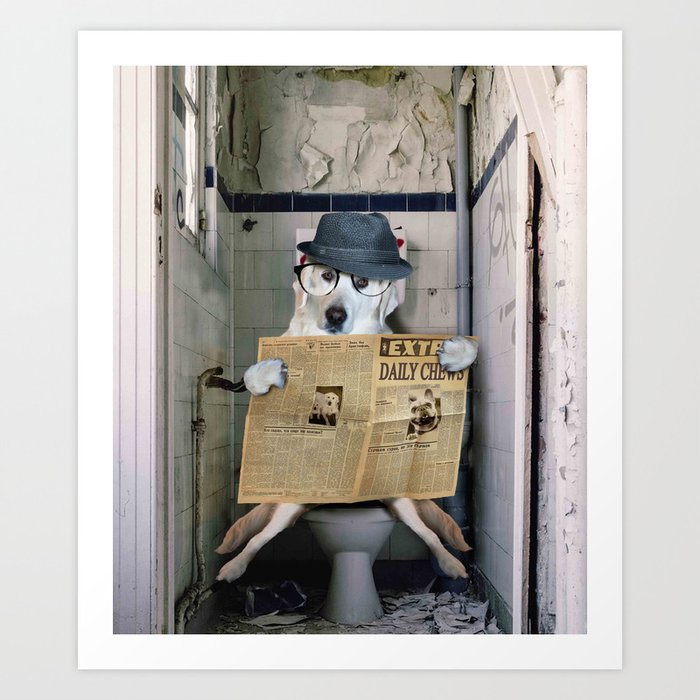 Golden Retriever Sitting On Toilet Art Print
