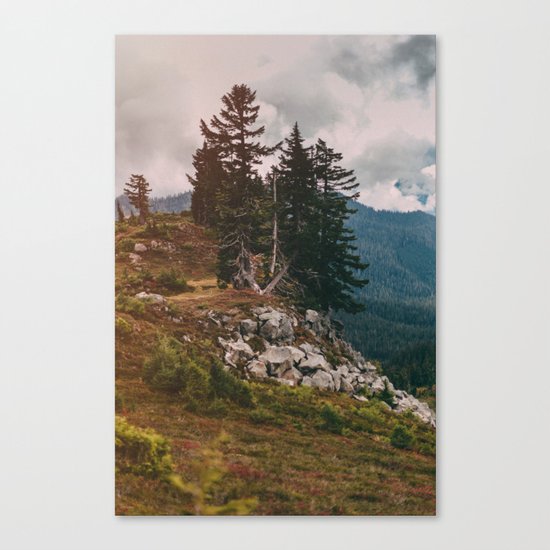 Northwest Forest Canvas Print