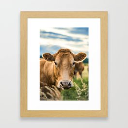 Summer in the Country with the Cows Framed Art Print