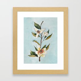 magnolia branch Framed Art Print