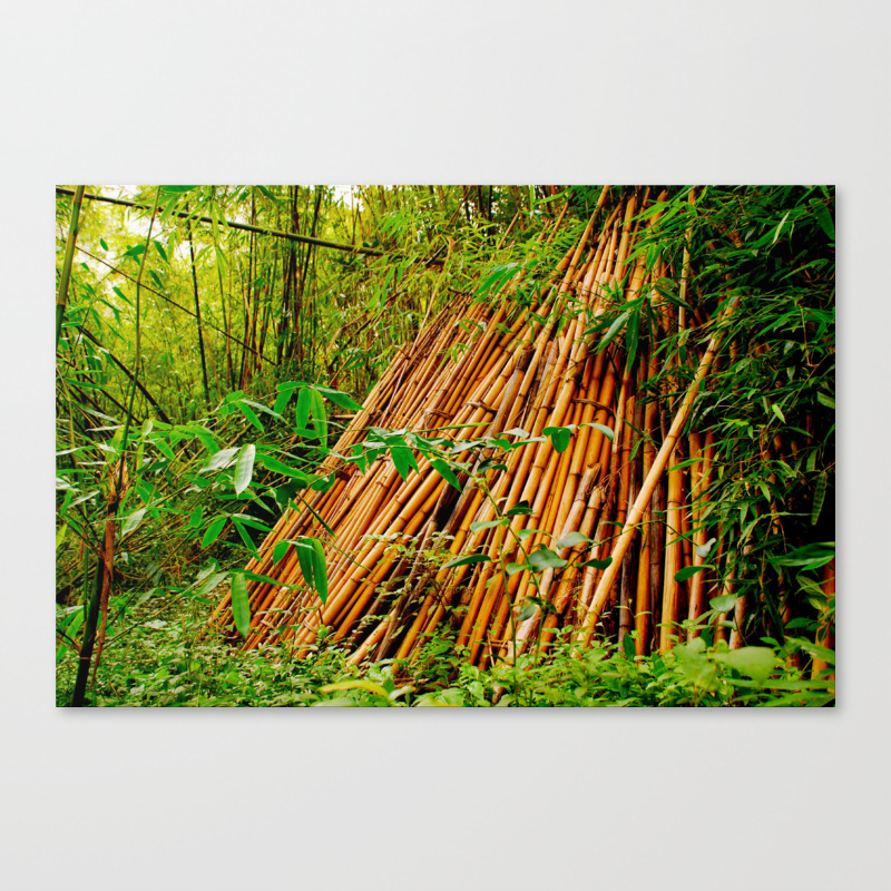 Bamboo Sticks Canvas Print By Raiko Society6