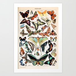 Adolphe Millot - Papillons pour tous - French vintage poster Art Print