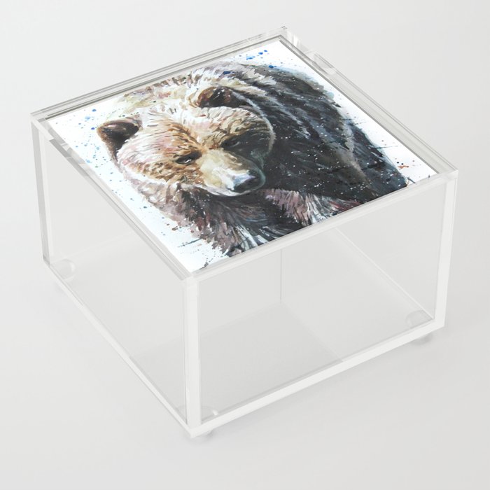 Bear Acrylic Box