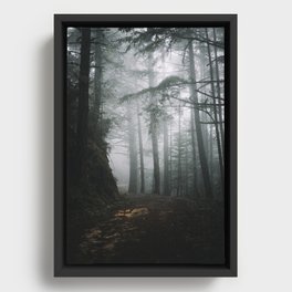 Butano Framed Canvas