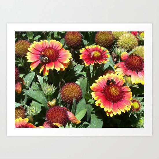 honey honey Art Print