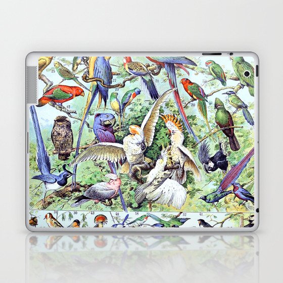 Adolphe Millot - Oiseaux A - French vintage poster Laptop & iPad Skin