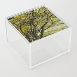 Yellow autumn forest walk  Acrylic Box