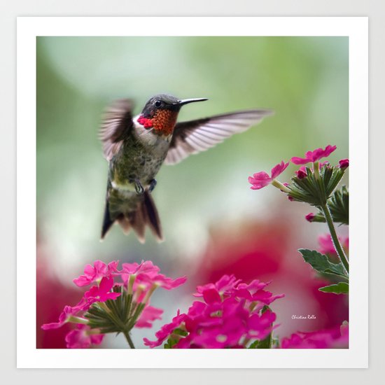 Ruby Garden Jewel Art Print