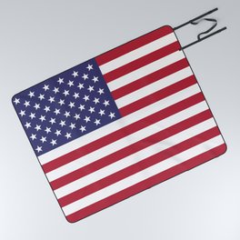 USA flag Picnic Blanket