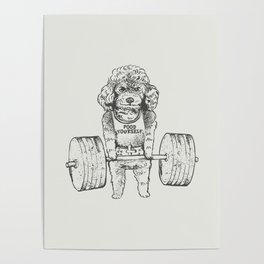 Poodle Lift Poster