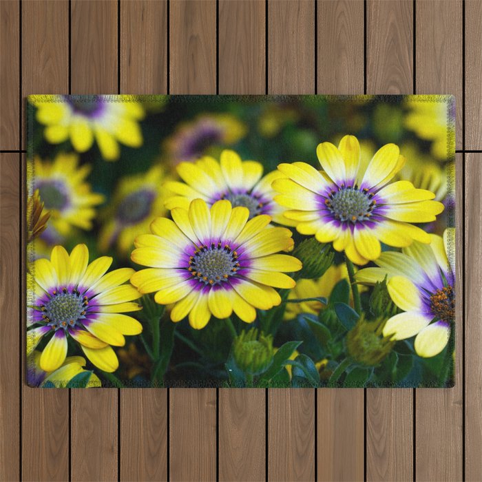 The Yellows and Purples of Spring Flower Photographic Portrait Outdoor Rug