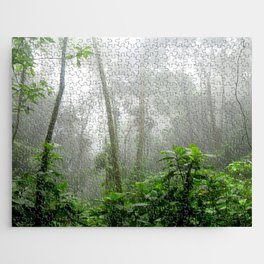 Brazil Photography - Moisty Rain Forest With Wet Leaves Jigsaw Puzzle