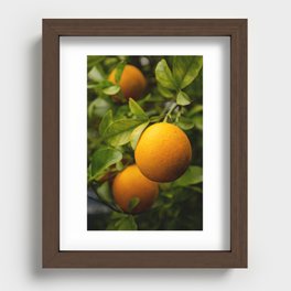 Hybrid Orange Recessed Framed Print