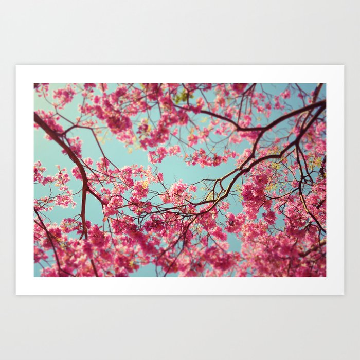 Spring Sky Art Print