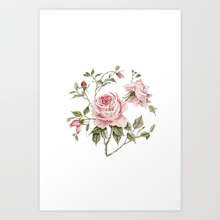 Pink Roses – Original Watercolor Art Print