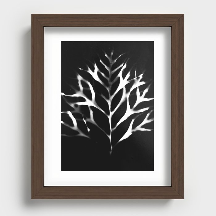 Grevillea Leaf Photogram Recessed Framed Print