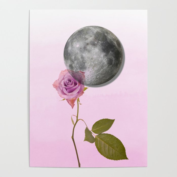 Rose Vintage Collage  Poster
