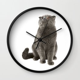 Beautiful cat picture Wall Clock