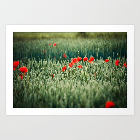 Poppies Art Print