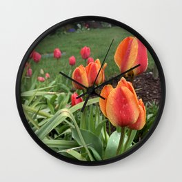 Tulips of Spring Wall Clock | Spring, Tulips, Colorful, Nature, Garden, Photo, Flowers, Summer, Dew, Greenery 