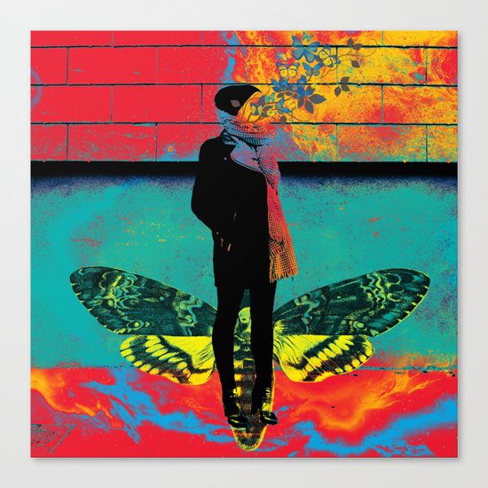 Danaus Canvas Print