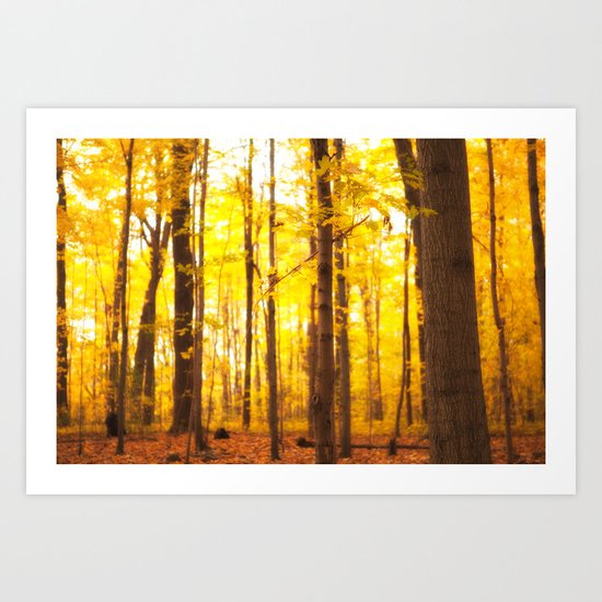 Fairyland Art Print