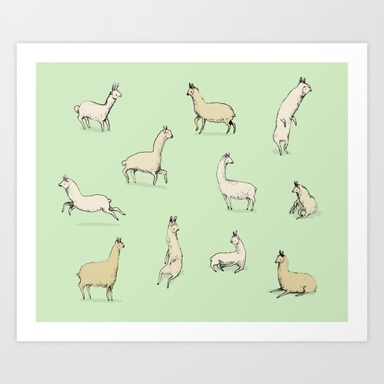 Llamas Art Print