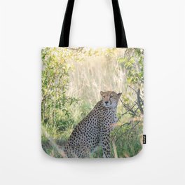 Cheetah wildlife | Travel Photography | South Africa Tote Bag