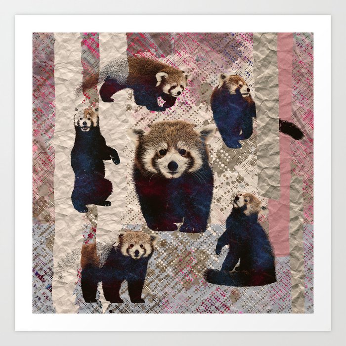 Red Panda Abstract Mixed Media Digital Art Collage Art Print By