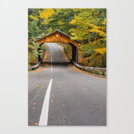 Road in the scenic drive in Sleeping Bear Dunes Canvas Print