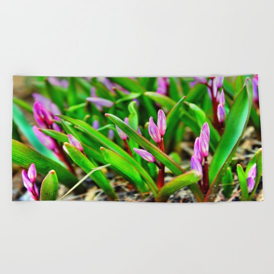 Spring Beginnings Beach Towel