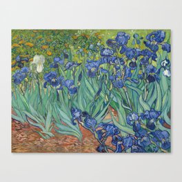 Irises, Vincent van Gogh Canvas Print