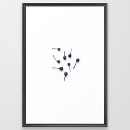 Voatsiperifery Peppercorns Framed Art Print