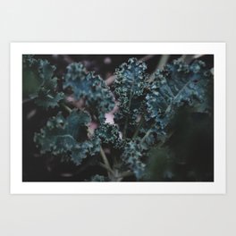 botanicals: kale Art Print