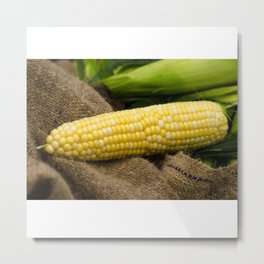 Corn on the Cob Metal Print