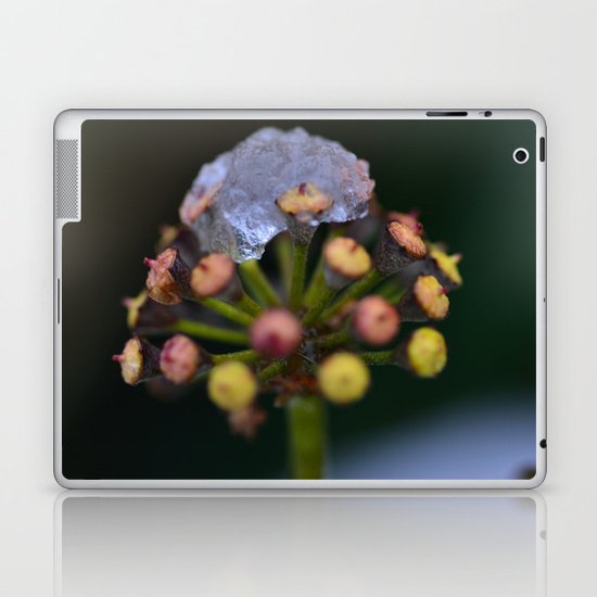 Snow On The Wild Ivy Laptop & iPad Skin