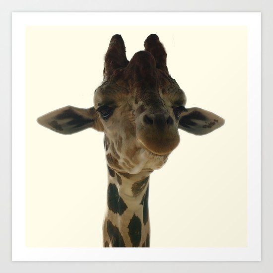 Giraffe Art Print