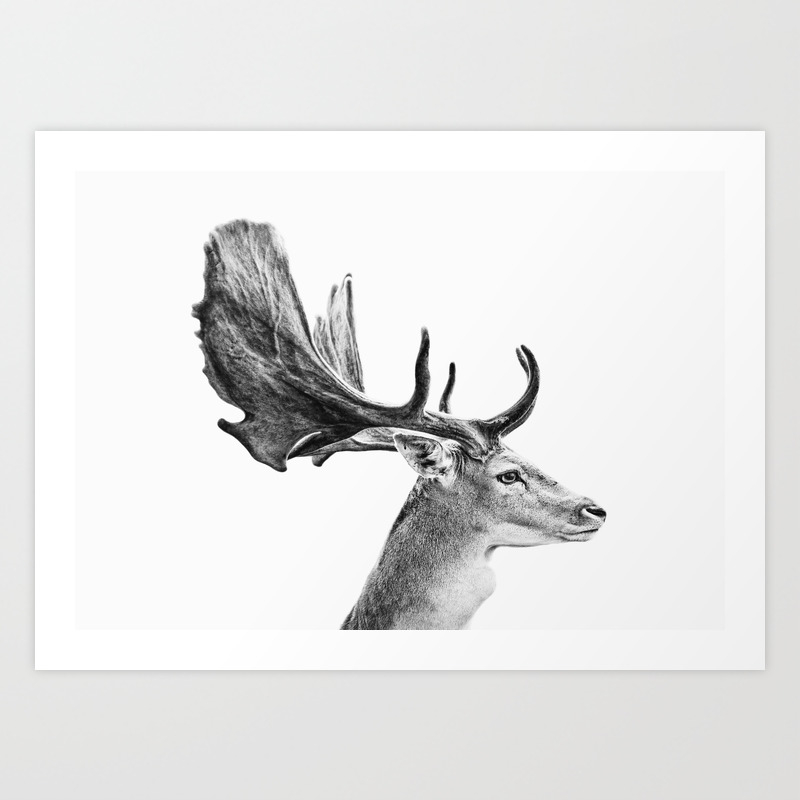 Deer Head Deer Antlers Wild Animal Forest Animal Deer Poster Art Print By Taiprints Society6,Geometric Square Pattern Png