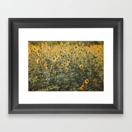 Texas Sunflower Field Framed Art Print