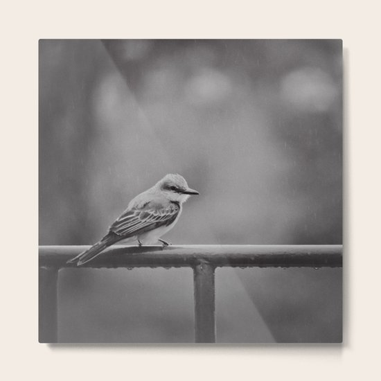 Endure Metal Print