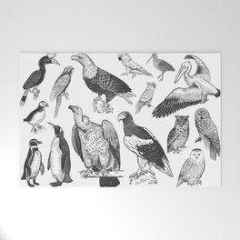 Birds of wildlife set. Eagles, owls, parrots, pelican, penguins, ibis, puffin isolated on white background. Tropical, exotic, water birds. Black white illustration. Vintage. Vintage. Realistic graphics Welcome Mat