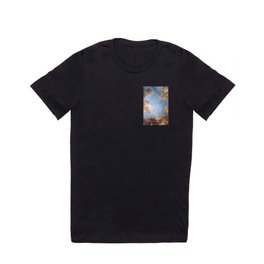 Fresco in the Palace of Versailles T Shirt | Fresco, Palace, Painting, Religious, Europe, Classical, Curated, French, Religion, Catholic 