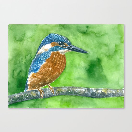 Kingfisher bird Canvas Print