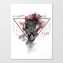 Triangle of life Canvas Print