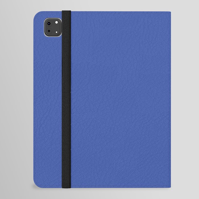 Blueberry iPad Folio Case