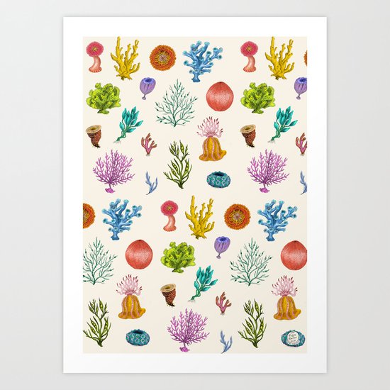 Coral Art Print