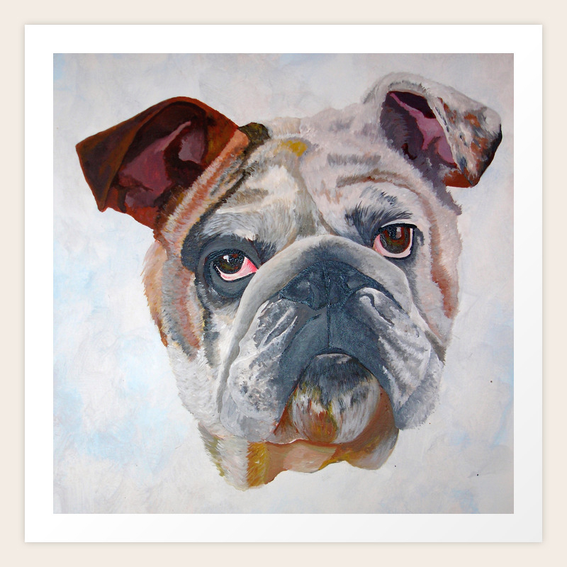 american bulldog art