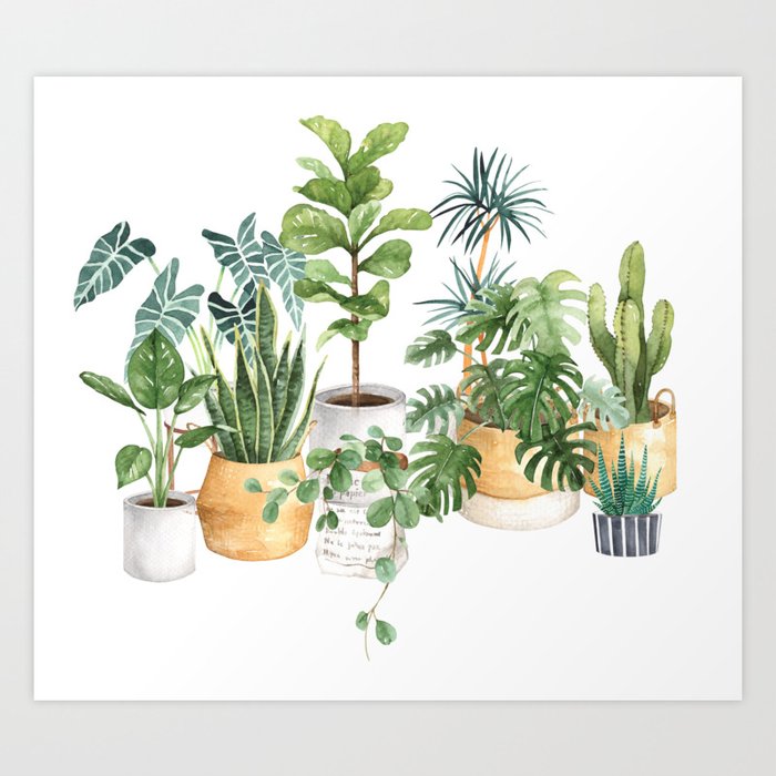 Watercolor House Plants Potted Plants Art Print By Southpacificprints Society6